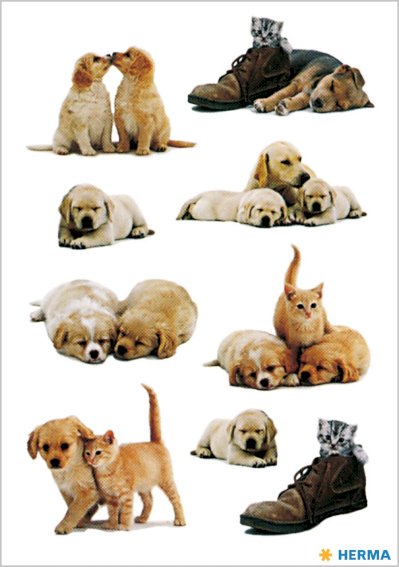 HERMA Sticker DECOR "Hundewelpen", selbstklebend, aus Papier
