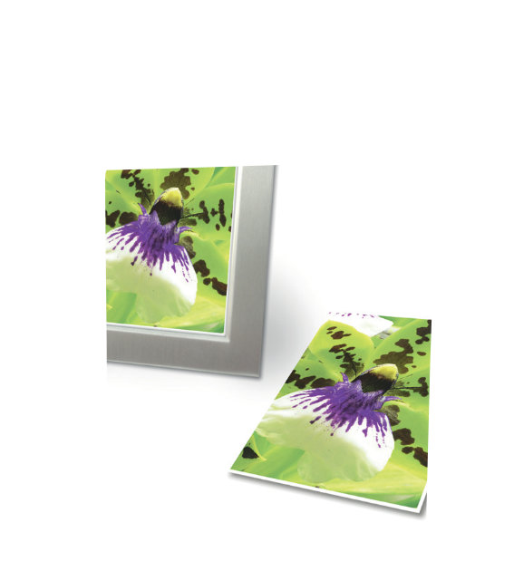Avery Zweckform C2552-50 Premium Inkjet, Fotopapier, 10x15, einseitig beschichtet, 250